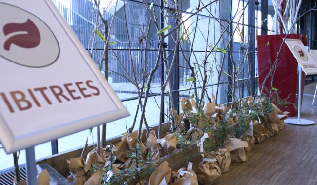 Dekorative Pflanzen mit einem Schild, das "Bäume" zeigt, in einem modernen Raum. Stimmung: freundlich und einladend. IBIT.