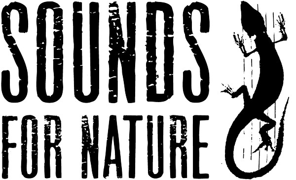 The Competence Network