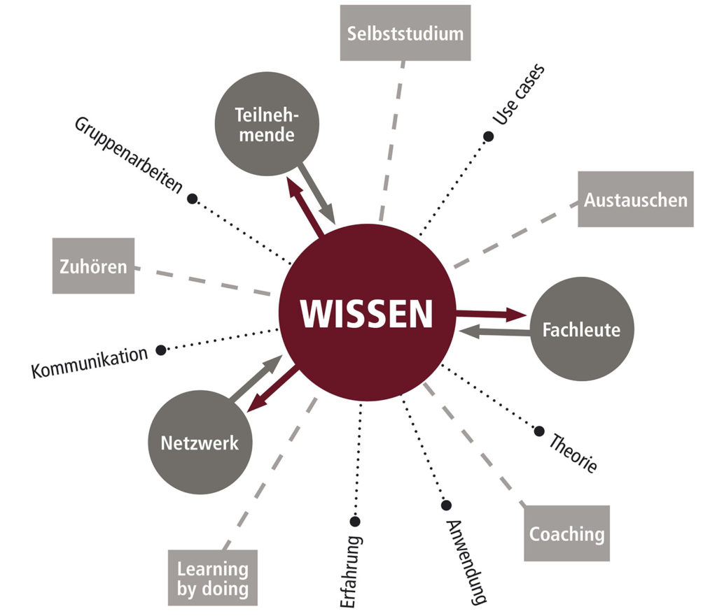 Grafik zum Thema Wissen mit verschiedenen Aspekten wie Kommunikation, Coaching und Selbstständigkeit, passend zu IBIT.