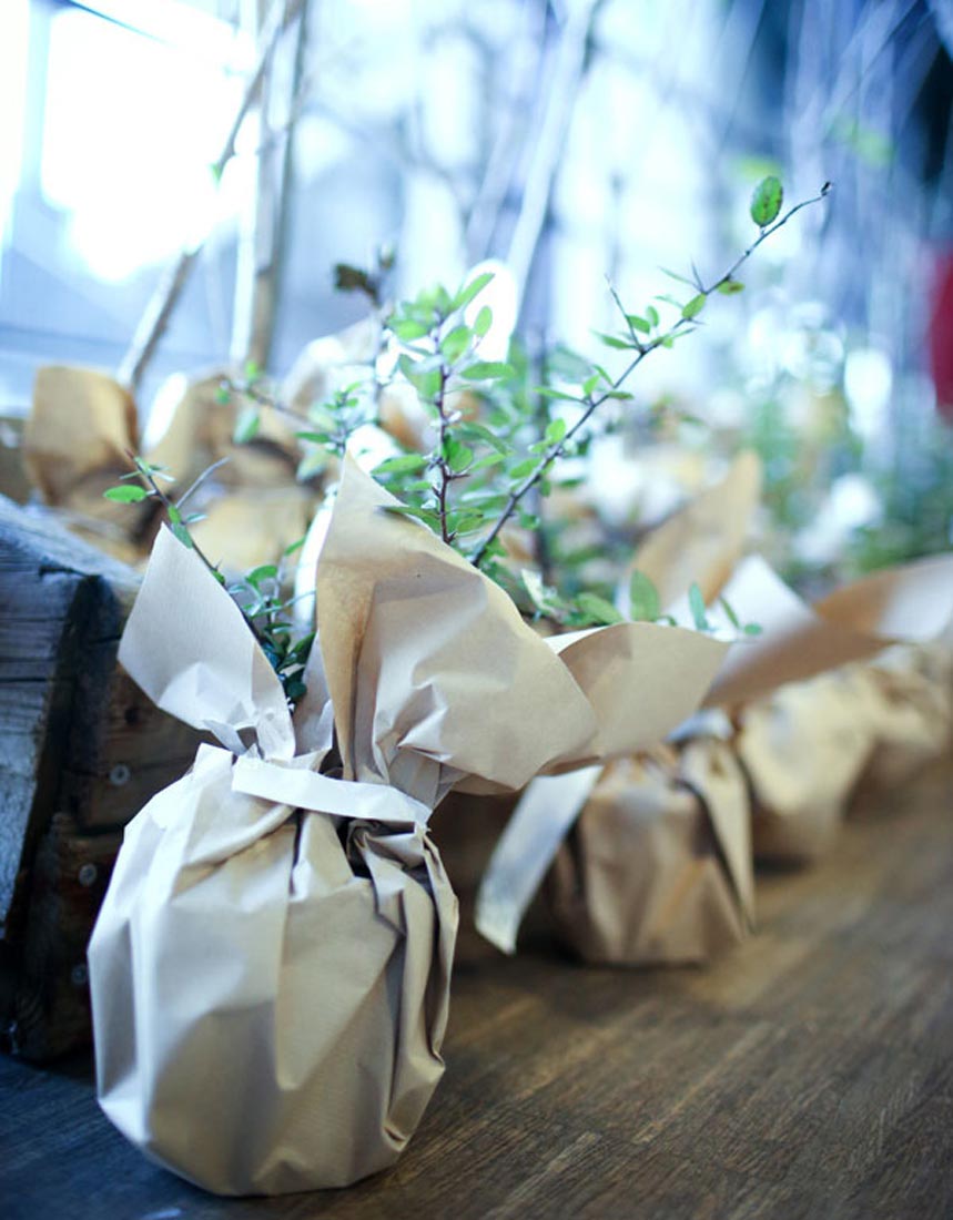 Klein verpackte Bäume in Papier, auf einem Holztisch arrangiert, Nachhaltigkeit auf der IBIT Fachtagung Veranstaltungssicherheit